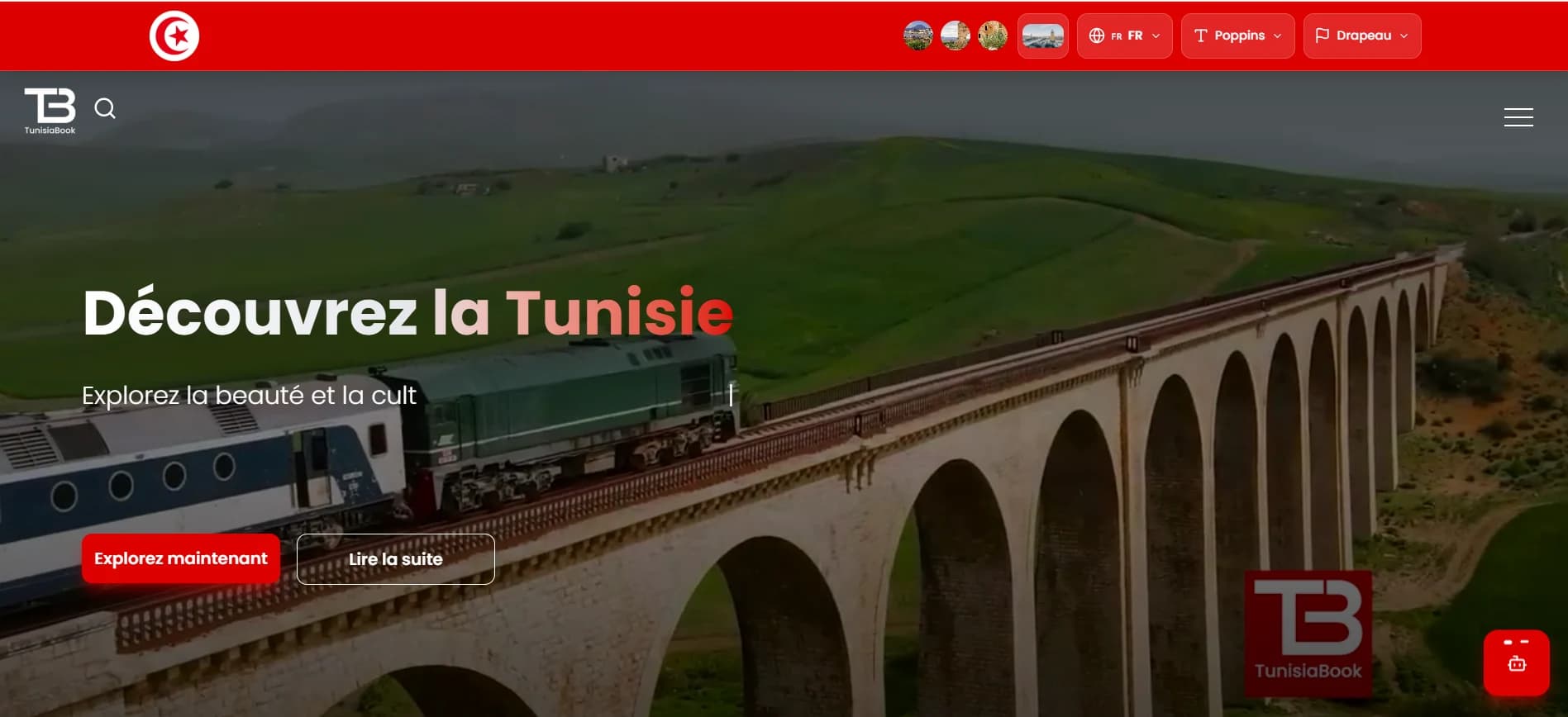 Tunisia Book — professional project preview
