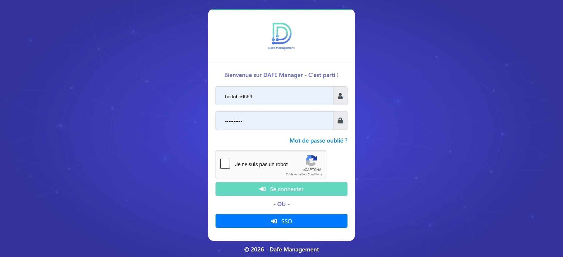 DAFE Management — professional project preview